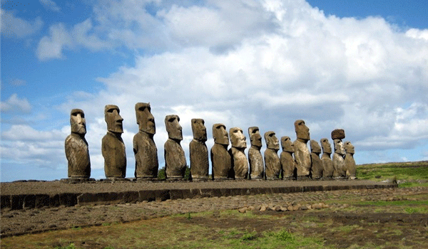 �D�lһ�l���ܽ�ĺ���Ϣ��